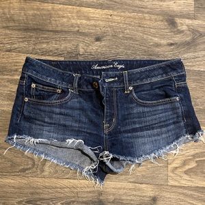 American Eagle Shorts Size 10